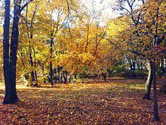 Park Górczyński w Poznaniu
